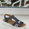 PEA189-2 Renzoni blue